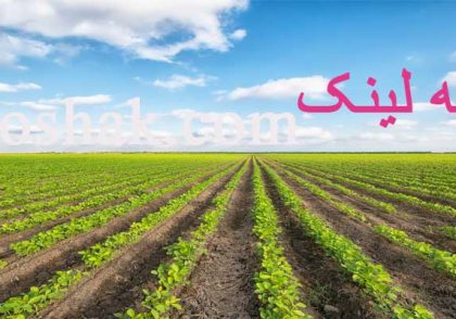 مزرعه لینک
