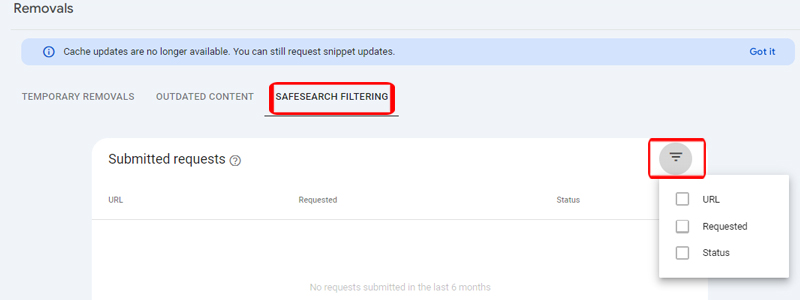 بخش SafeSearch Filtering